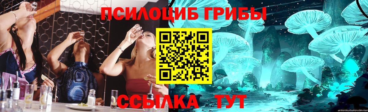 Галлюциногенные грибы мицелий Кумертау