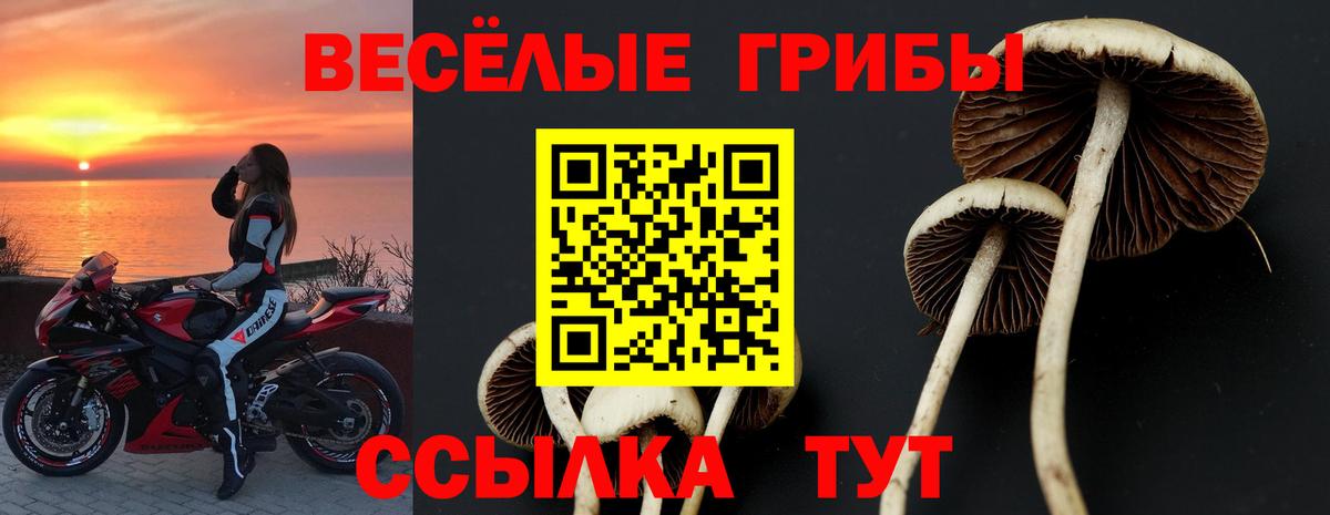 Кумертау  Псилоцибиновые грибы MAGIC MUSHROOMS  где можно купить   Вход с VPN 